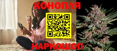 PSILOCYBIN Обнинск